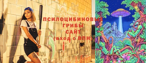 СК Алексеевка