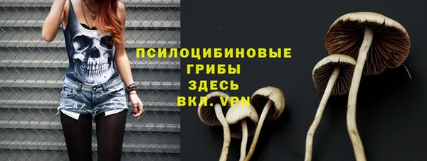 СК Алексеевка