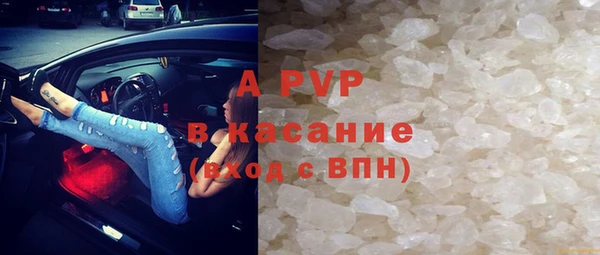 прущие грибы Алзамай