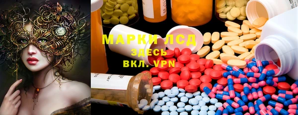 прущие грибы Алзамай