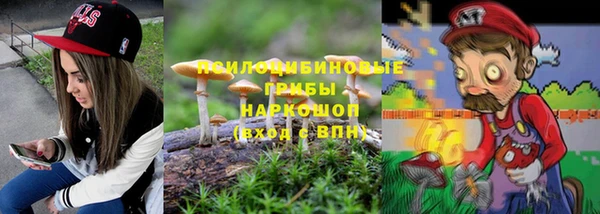 прущие грибы Алзамай