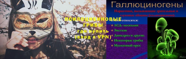 герыч Алексин