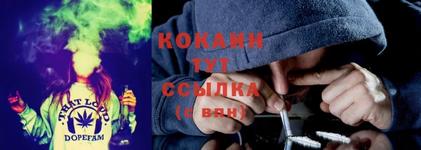 прущие грибы Алзамай