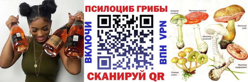 купить  цена  Чадан  Псилоцибиновые грибы ЛСД 